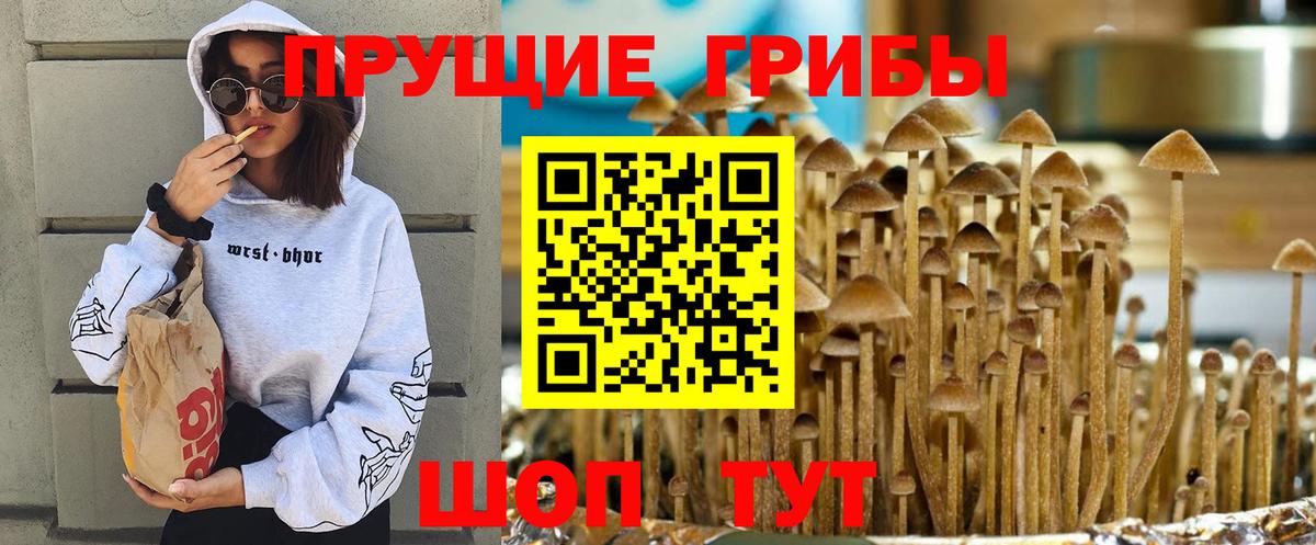 Псилоцибиновые грибы MAGIC MUSHROOMS  Псилоцибиновые грибы MAGIC MUSHROOMS  Надым  Вход с VPN 